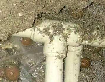 猇亭测漏水多少钱