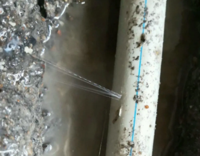 猇亭测漏水哪家好