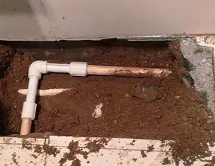 猇亭测漏水哪家好