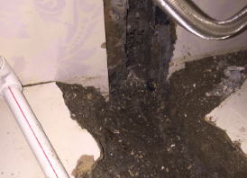 猇亭卫生间测漏水哪家好