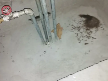 猇亭卫生间测漏水价格明细