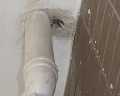 猇亭漏水检测哪家好